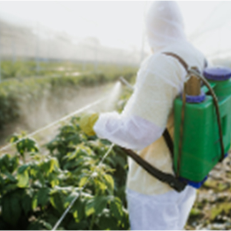 IMG_20211108_075813_resized_20211116_100540810222000